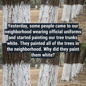 🤯Why Some Trees Are Painted White and What It Means🤯⤵️